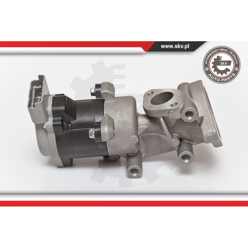 ESEN SKV