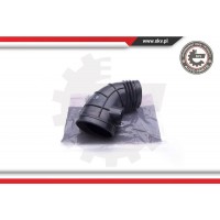 ESEN SKV