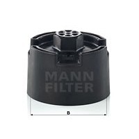 Mann from JGOGROUP