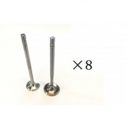 BORSEHUNG Vypustny ventil...