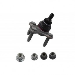 BORSEHUNG Zvisly/nosny cap...