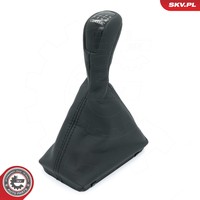 ESEN SKV