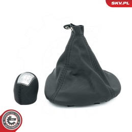ESEN SKV