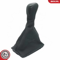 ESEN SKV