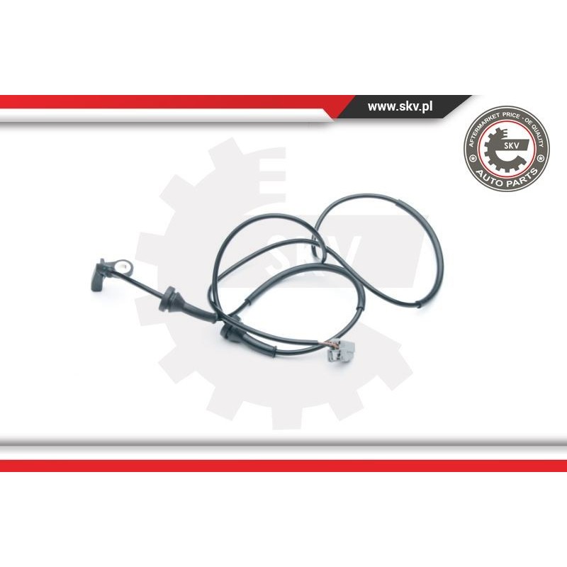 ESEN SKV