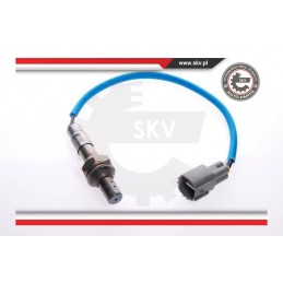 ESEN SKV